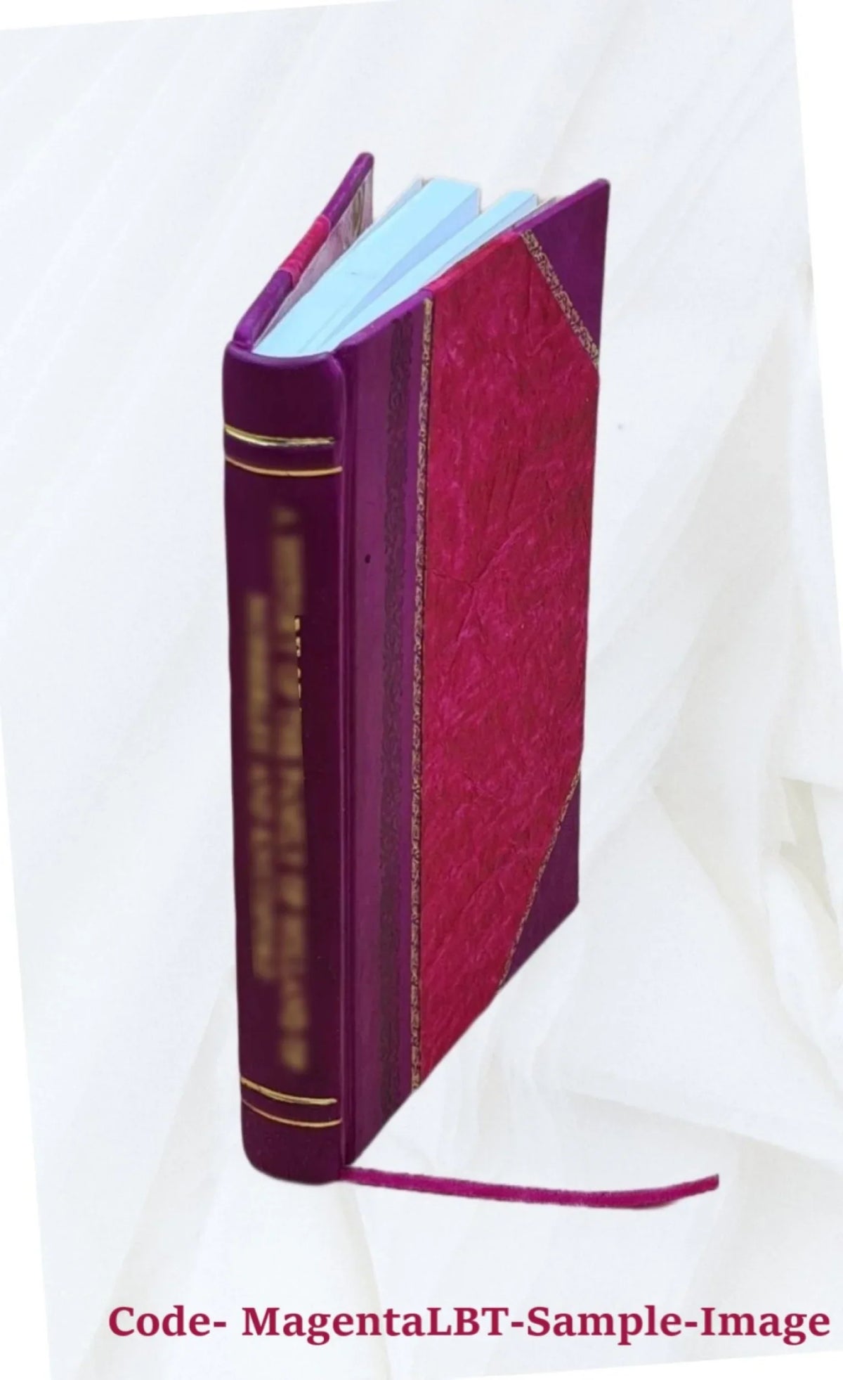 Poems and songs with lectures on the genius and works of Burns, and the Rev. George Gilfillan, and letter on Sizeir John Franklin and the Arctic regions / by Peter Livingston. 1852 [L