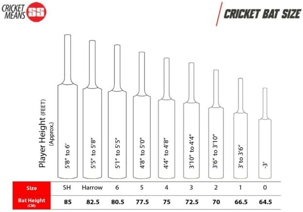 SS TON Power Plus 2019 Series Kashmir Willow Cricket Bat