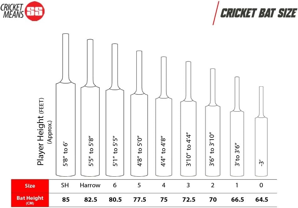 SS Ton Limited Edition English Willow Cricket Bat, Short Handle (Color May Vary)