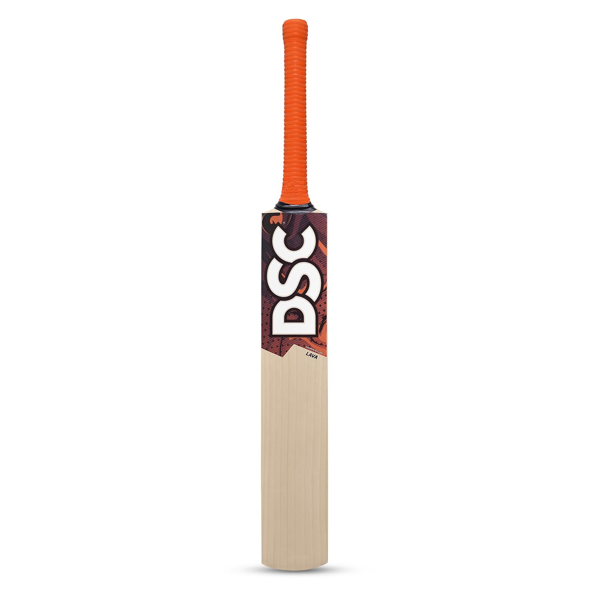 DSC Kashmir Willow Cricket Bat