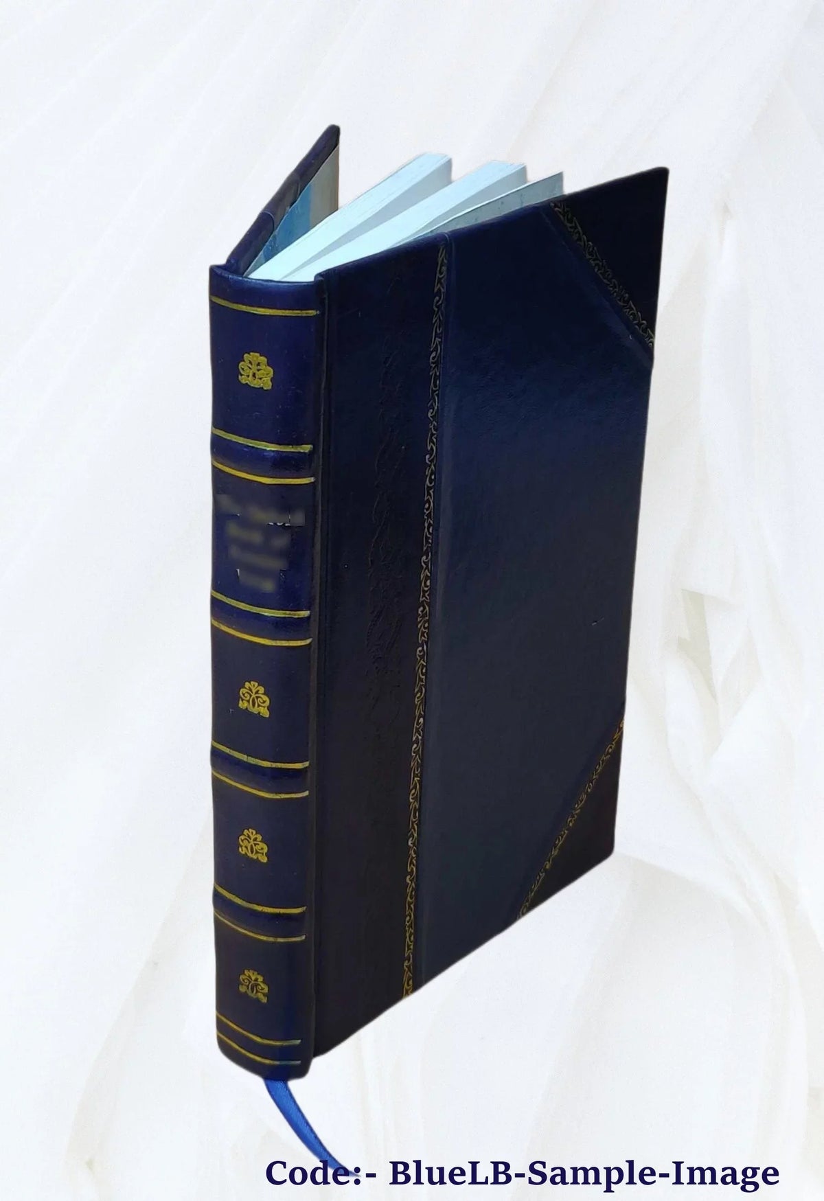 Flagellum Daemonum exorcismos terribiles, potentissimos, et efficaces : Remediaque probatissima, ac doctrinam singularem ad malignos spiritus expellendos, facturasq [Leather Bound]