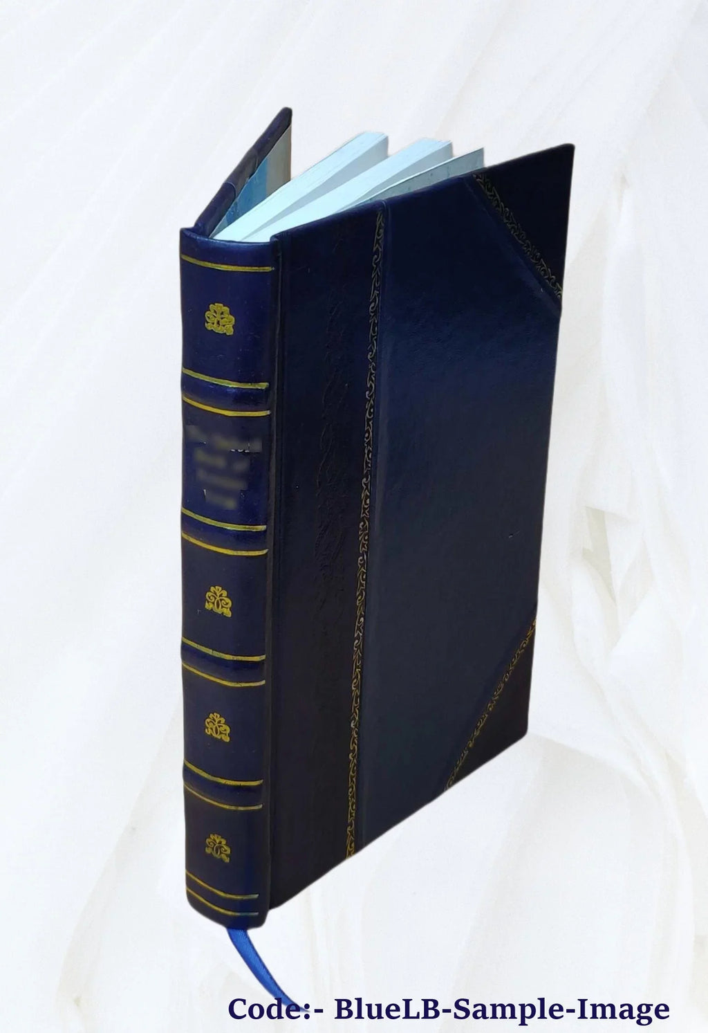 The river motor boat boys on the Mississippi, or, On the trail to the gulf 1913 [Leather Bound]