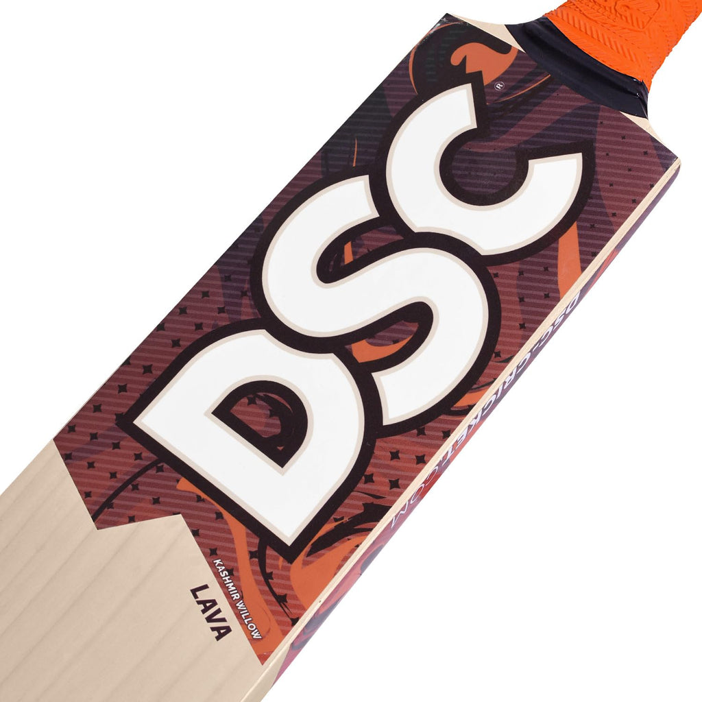 DSC Kashmir Willow Cricket Bat