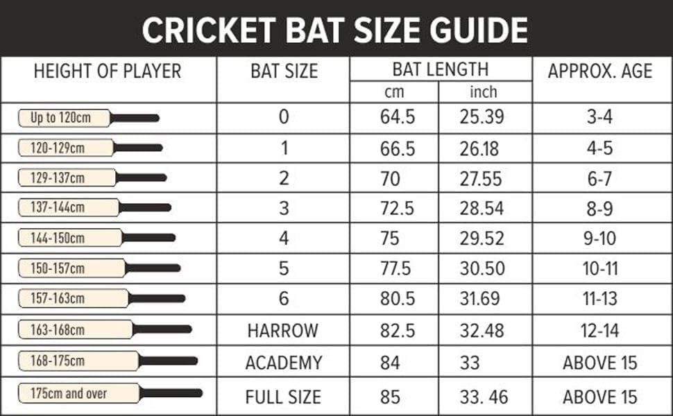 DSC Intense Force Kashmir Willow Cricket Bat for Leather Ball |Size-2 | Light Weight | Free Cover|