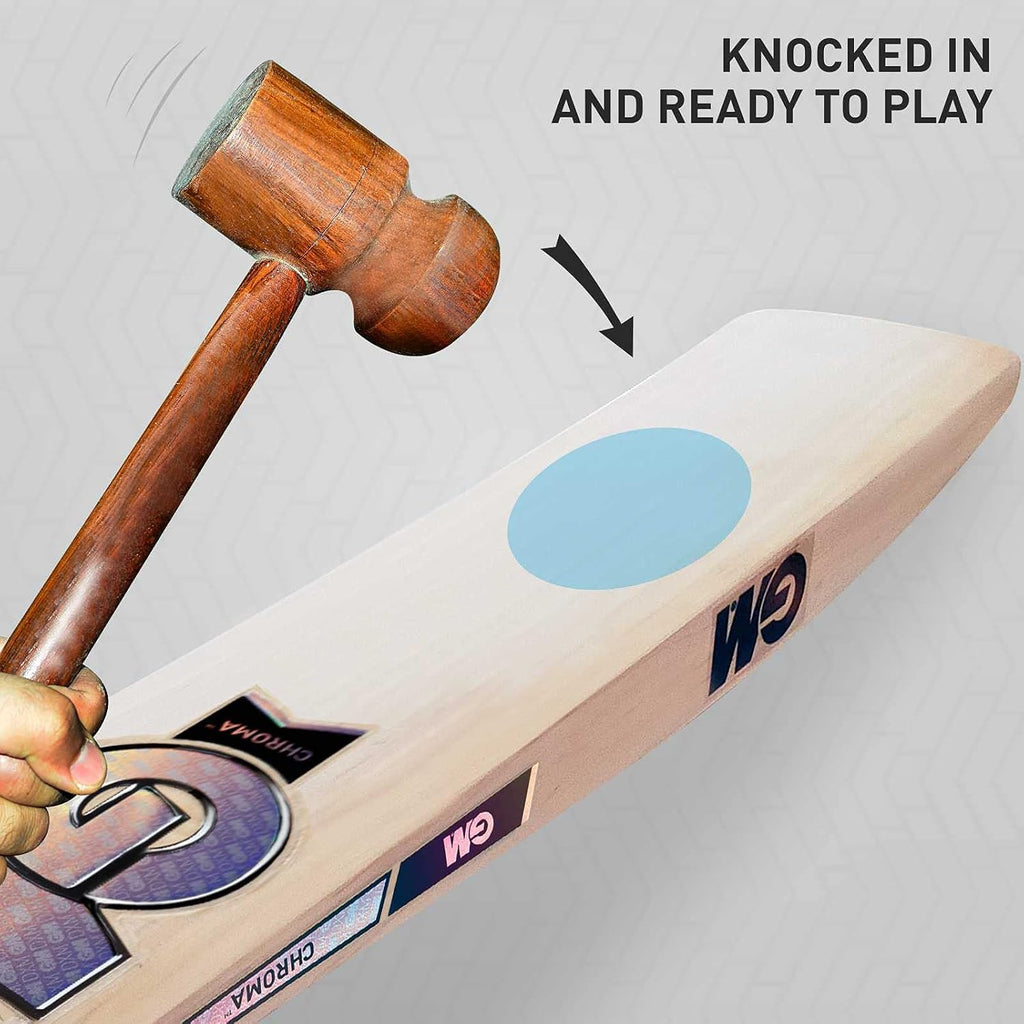 GM Chroma Maxi English Willow Short Handle Cricket Bat