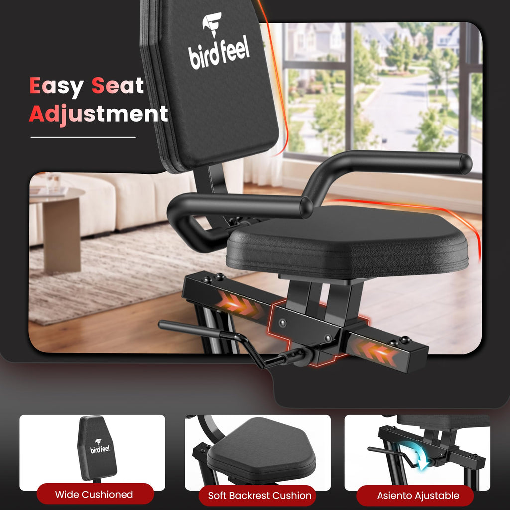 Recumbent Exercise Bike for Home, Stationary Bike for Seniors