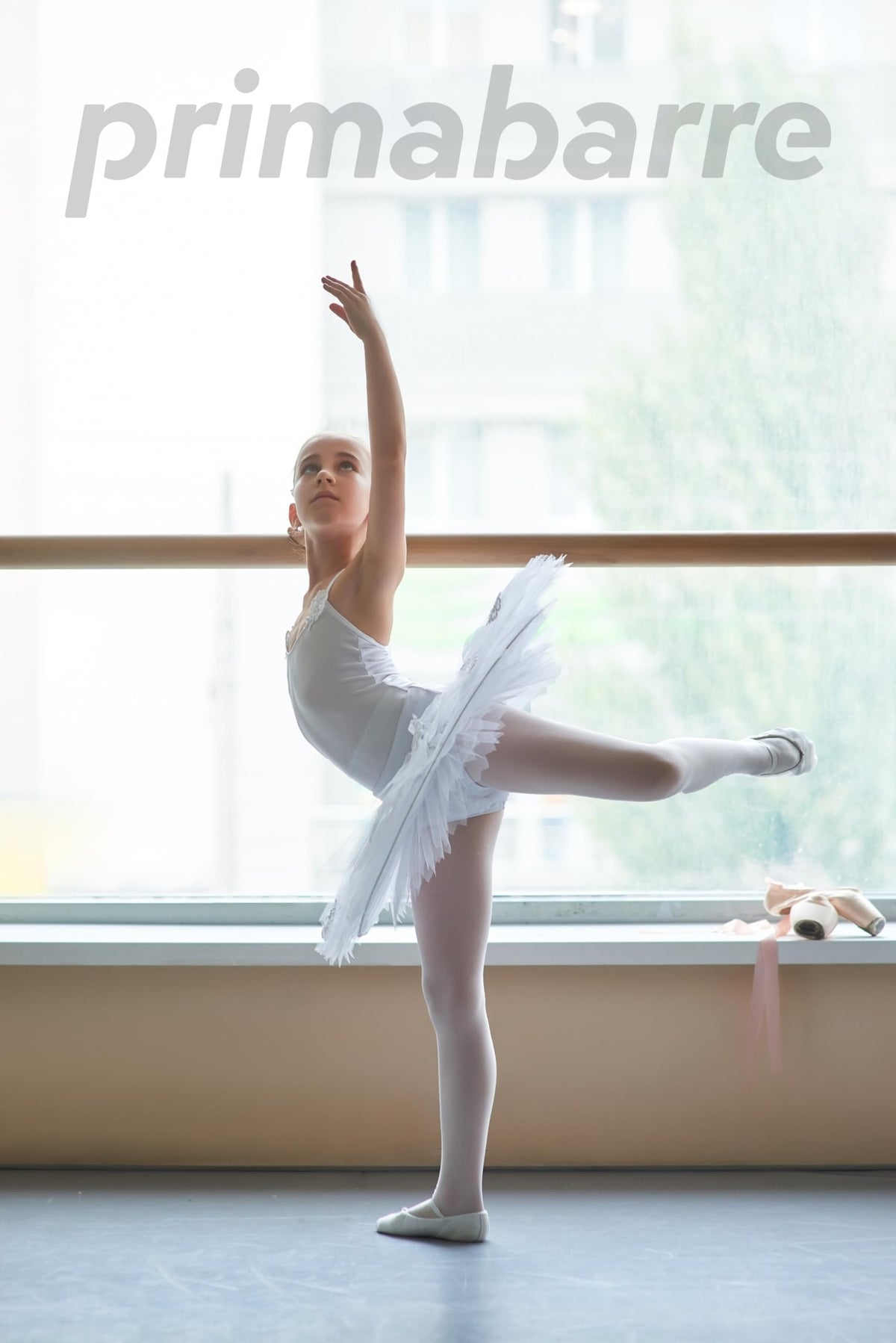 Wall-Mounted Ballet Barre for Home Dance, Exercise, Fitness, Stretching - Made in USA
