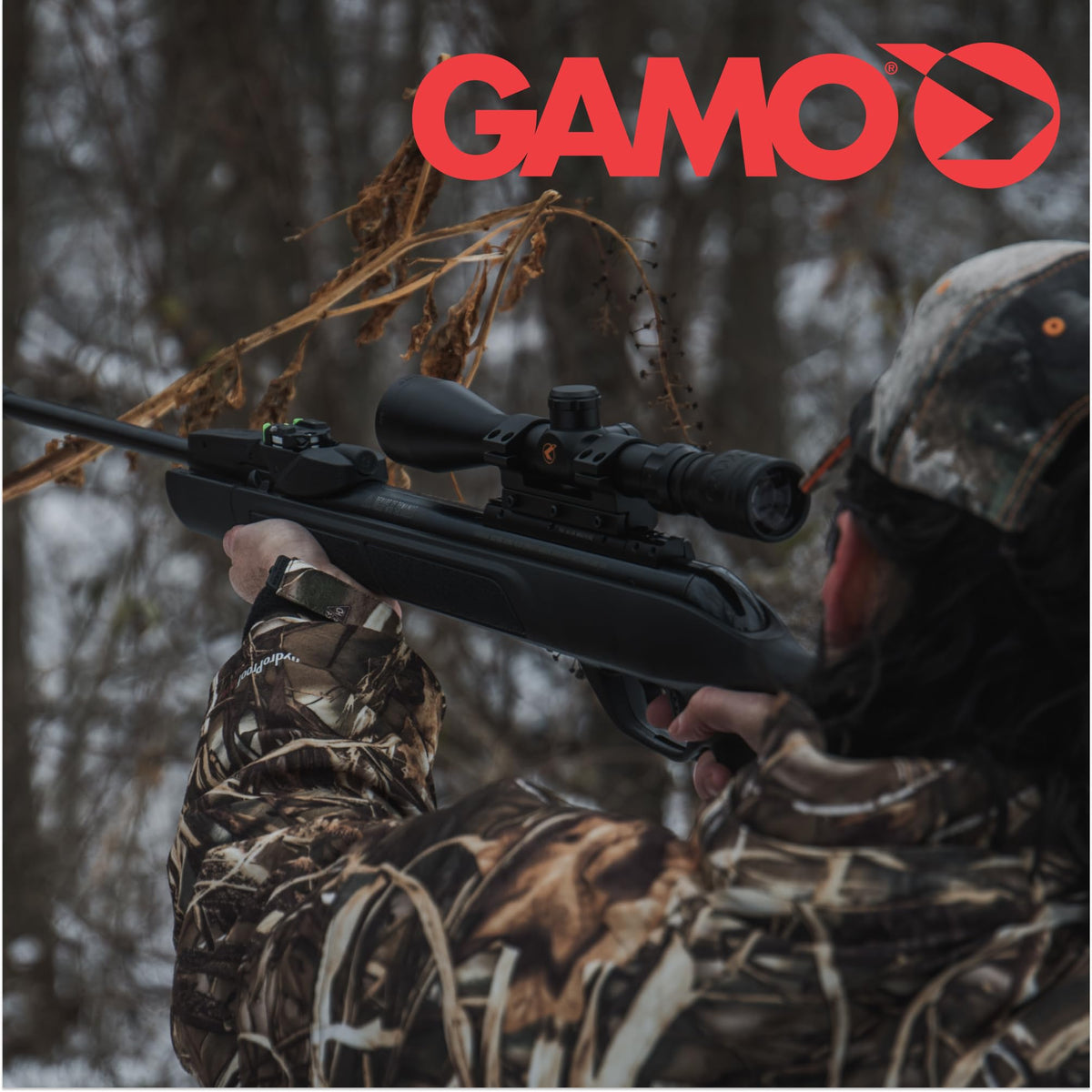 Gamo Swarm Whisper Break Barrel Pellet Air Rifle - 10-Rounds