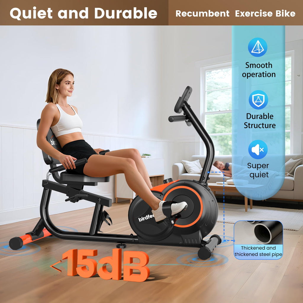 Recumbent Exercise Bike for Home, Stationary Bike for Seniors