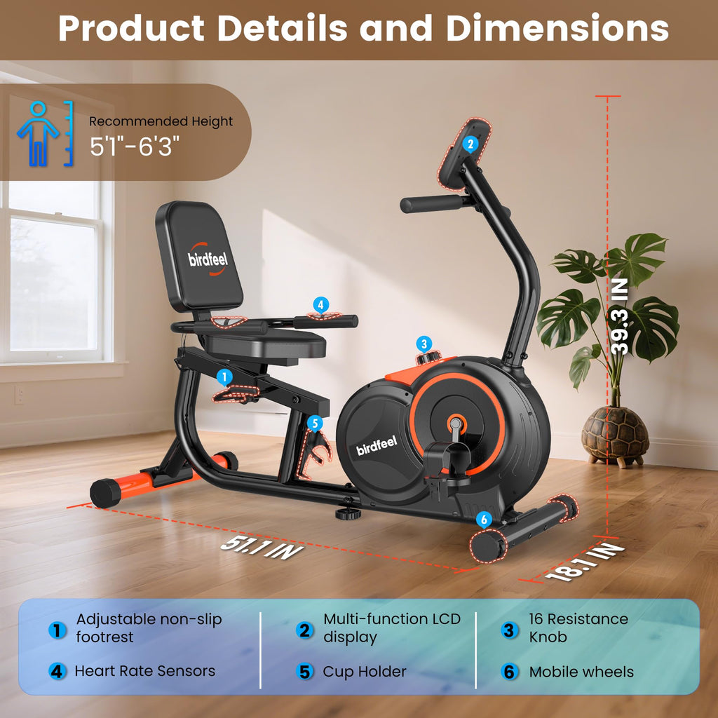 Recumbent Exercise Bike for Home, Stationary Bike for Seniors