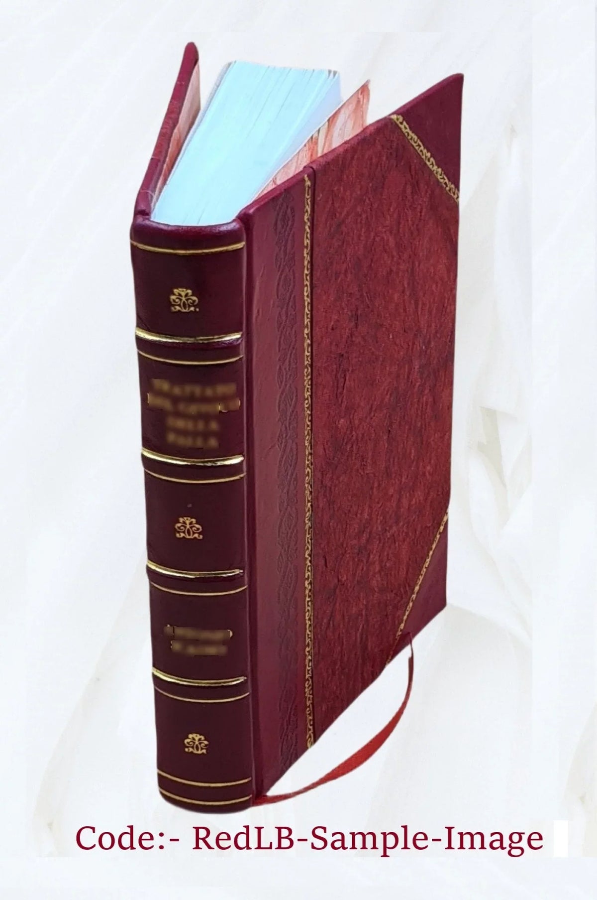 The river motor boat boys on the Mississippi, or, On the trail to the gulf 1913 [Leather Bound]