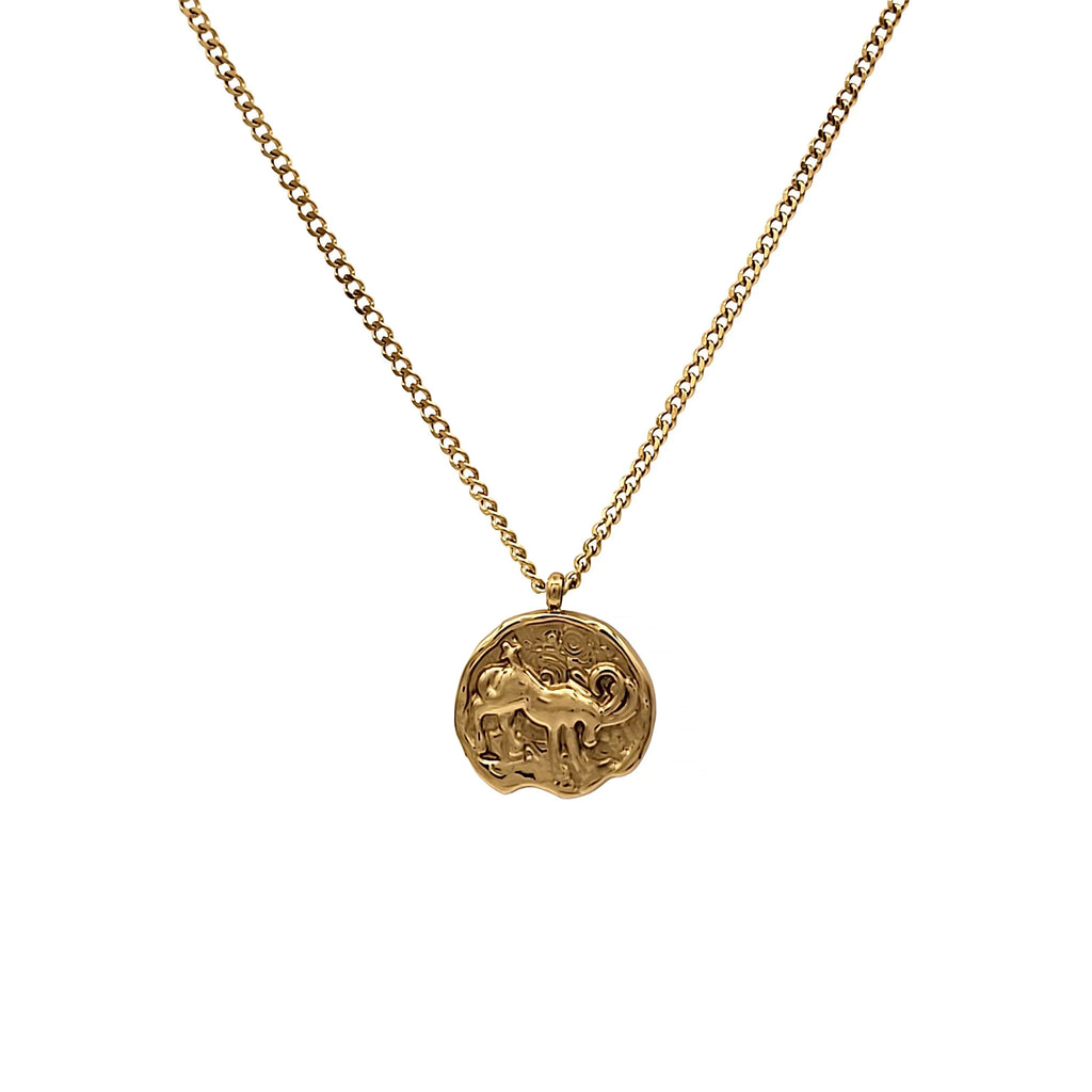 Blue Box Boutique Inc Gold Sizetainless Sizeteel Capricorn Zodiac Pendant Necklace for Women, Teens | Horoscope, Birthday Gift